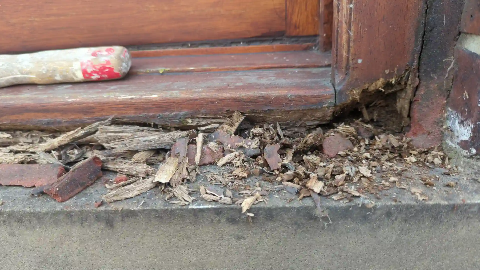 Decayed timber raked out of the bottom of a sash and stile, showing how far the rot had gone before repair